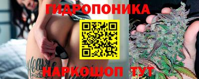ГАЛЛЮЦИНОГЕННЫЕ ГРИБЫ Малгобек