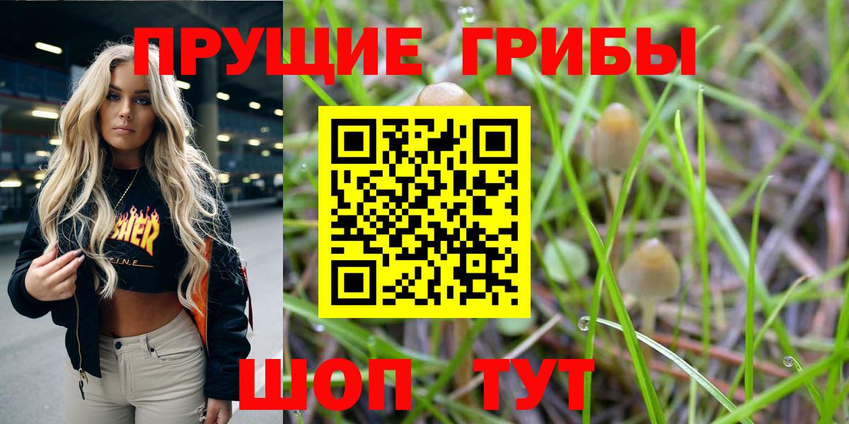 Псилоцибиновые грибы мухоморы Тихорецк