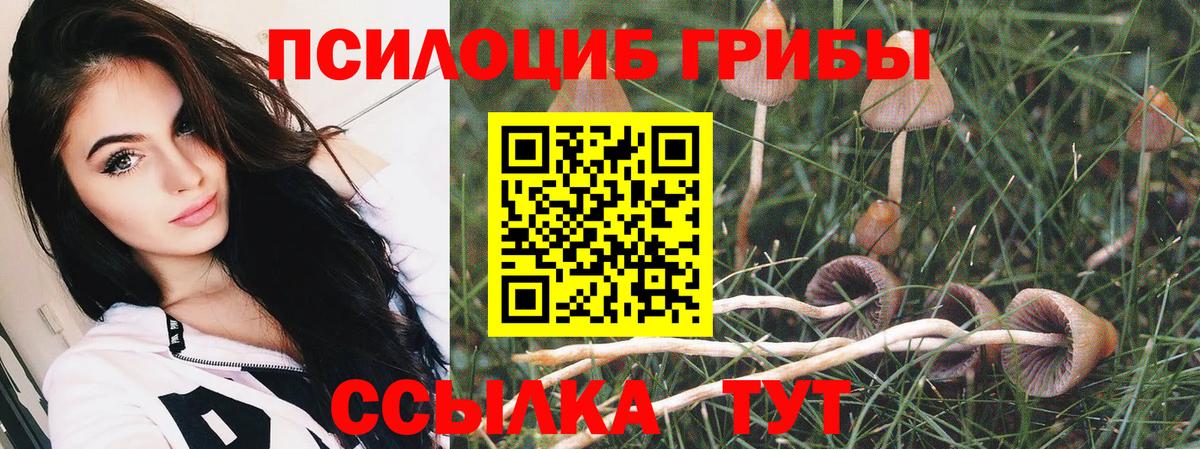 Тихорецк  Галлюциногенные грибы GOLDEN TEACHER  Вход с VPN  цены   Псилоцибиновые грибы Psilocybe 